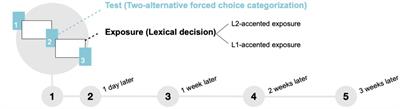 From first encounters to longitudinal exposure: a repeated exposure-test paradigm for monitoring speech adaptation